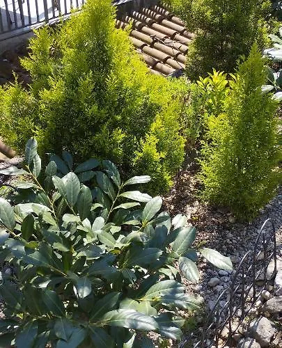 Appartement Matija Opatija