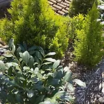 Apartman Matija Opatija